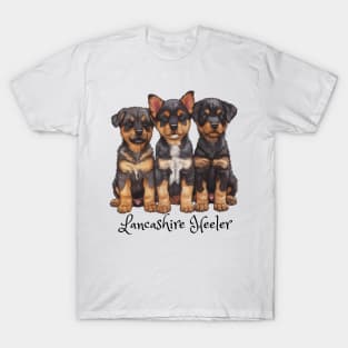 Three Lancashire Heeler puppies all looking cute. T-Shirt